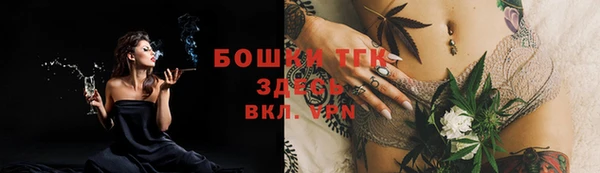 PSILOCYBIN Беломорск